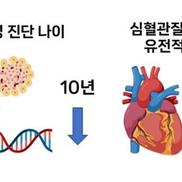 og 이미지